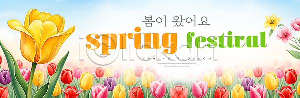 즐거움 PSD 편집이미지 기념일 꽃 만개 모션 봄 이미지편집 이벤트 자연 축제 컬러 튤립 풍경 프로그램