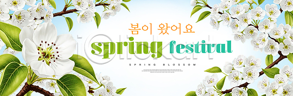 즐거움 PSD 편집이미지 계절 꽃 나무 도시 만개 봄 뷰티풀 이미지편집 이벤트 잎 자연 축제 컬러 풍경