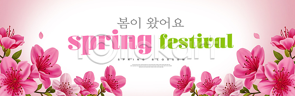 사람 PSD 편집이미지 Decoration 계절 기념일 꽃 만개 모임 백그라운드 봄 이미지편집 이벤트 자연 축제 컬러