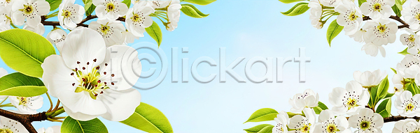 JPG 일러스트 AI일러스트 AI콘텐츠 계절 국내일러스트 꽃 꽃잎 나무 만개 백그라운드 봄 뷰티풀 생명 식물 잎 자연 초원 컬러 풍경 하늘 환경