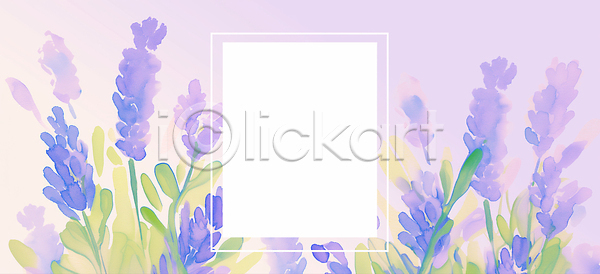 부드러움 JPG 일러스트 AI일러스트 AI콘텐츠 공간 국내일러스트 그림 꽃 디자인 라벤더 백그라운드 봄 뷰티풀 생명 수채화 식물 식물원 여름 자연 정원 컬러 향기 화초