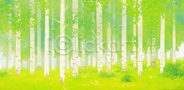 신선 JPG 일러스트 AI일러스트 AI콘텐츠 국내일러스트 나무 날씨 뷰티풀 생명 생태계 숲 식물 여름 자연 자작나무 초록색 초원 평면 환경