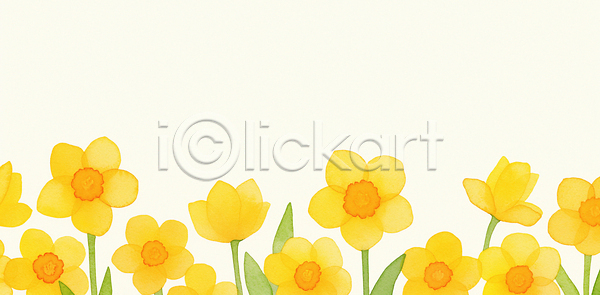 JPG 일러스트 AI일러스트 AI콘텐츠 국내일러스트 꽃 노란색 모양 배열 백그라운드 봄 뷰티풀 생명 수선화 식물 일상 잎 자연 잔디 정원 조화 카피스페이스 컬러 평행