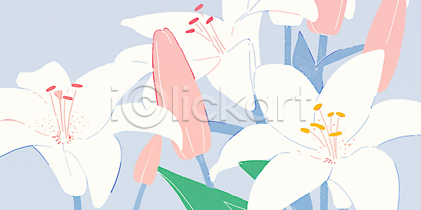 JPG 일러스트 AI일러스트 AI콘텐츠 국내일러스트 꽃 노란색 디자인 백합 봄 분홍색 뷰티풀 생명 식물 예술 잎 자연 장식 정원 컬러 패턴 화초 흰색