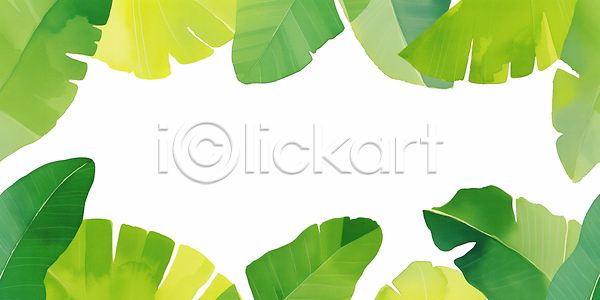 JPG 일러스트 AI일러스트 AI콘텐츠 국내일러스트 디자인 모양 백그라운드 보테니컬아트 생태계 수채화 식물 식물원 여름 열대 열대우림 잎 자연 장식 정원 채색 초록색 컬러 크기 프레임 환경