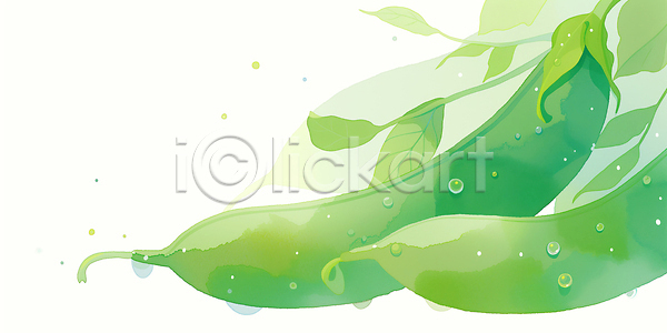 신선 JPG 일러스트 AI일러스트 AI콘텐츠 건강 국내일러스트 나뭇잎 백그라운드 수채화 완두콩 잎 채소 초록색