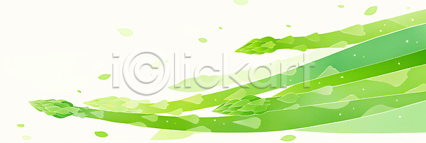 JPG 일러스트 AI일러스트 AI콘텐츠 국내일러스트 백그라운드 수채화 아스파라거스 잎 초록색