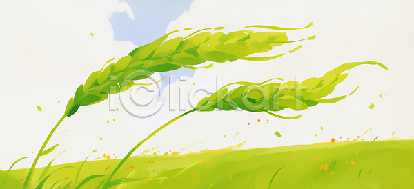 JPG 일러스트 AI일러스트 AI콘텐츠 국내일러스트 바람 백그라운드 식물 여름 연두색 자연 청보리 청보리밭 초원 풀 풍경 하늘 환경