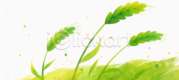 JPG 일러스트 AI일러스트 AI콘텐츠 국내일러스트 농작물 바람 밭 백그라운드 식물 연두색 자연 청보리 청보리밭 풍경 햇빛