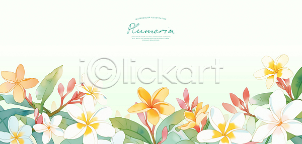 부드러움 PSD 일러스트 국내일러스트 그림 디자인 백그라운드 식물 여름꽃 예술 잎 장식 조화 플루메리아 화사함 화초