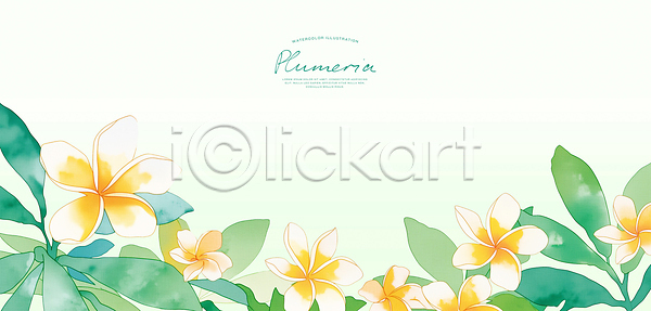 화려 PSD 일러스트 국내일러스트 그림 디자인 백그라운드 수채화 식물 여름꽃 예술 장식 플루메리아 화초