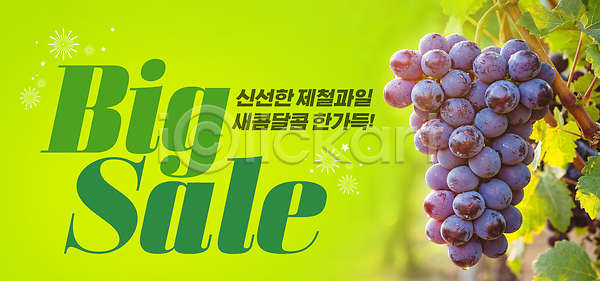 신선 PSD 편집이미지 건강 고객 과일 구매 농장 맛 세일 여름 음식 이미지편집 이벤트 자연 판매 포도
