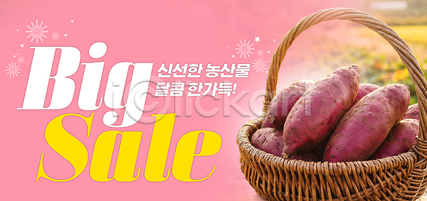 신선 PSD 편집이미지 고구마 농업 농작물 농장 바구니 수확 시장 음식 이미지편집 이벤트 제조 지역 판매