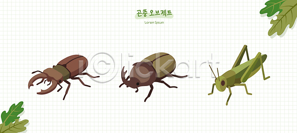 AI파일 일러스트 곤충 국내일러스트 딱정벌레 메뚜기 사슴벌레 생명 생물학 생태계 쇠똥구리 숲 환경
