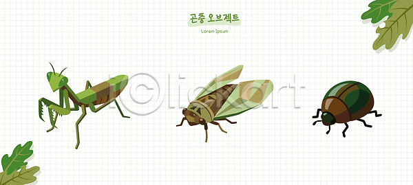 AI파일 일러스트 곤충 국내일러스트 나뭇잎 매미 모양 사마귀 생명 생물 생물학 생태계 오브젝트 자연 특징 환경