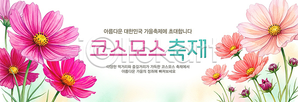 분위기 PSD 편집이미지 가을 꽃 대화 웃음 이미지편집 이벤트 자연 지역 참여 축제 코스모스 코스모스축제