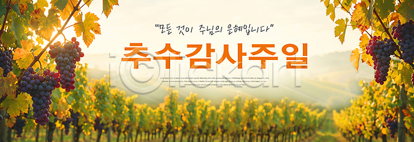 PSD 편집이미지 가을 농업 농장 수확 수확철 식물 이미지편집 자연 추수감사절 포도 포도밭 풍경