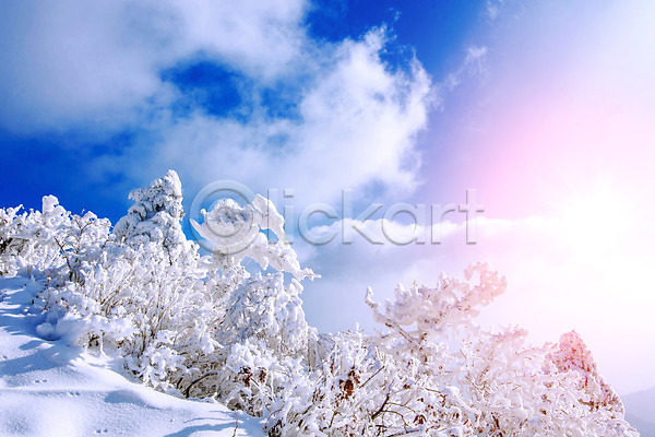 추위 사람없음 JPG 포토 해외이미지 겨울 나무 눈내림 맑음 백그라운드 산 서울 언덕 자연 태양 풍경(경치) 하늘 한국 해외202004