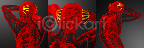 사람 사람없음 3D JPG 포토 해외이미지 건강 골격 뼈 손 손가락 손목 해부 해외202004 해외포토