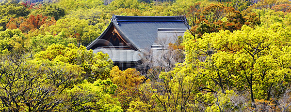 사람없음 JPG 포토 해외이미지 가을 거리 건물 건축양식 계절 공원 교토 나무 노란색 목재 문화 물 미술 바위 반사 빨간색 사당 사찰 소나무 숲 아시아 여행 역사 연못 일본 잎 자연 재산 전통 정원 천연기념물 초록색 파란색 해외202004 해외포토 호수 황금 휴가