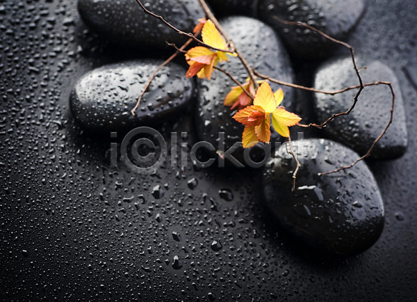 사람없음 JPG 포토 해외이미지 검은색 꽃 꽃잎 물 물방울 백그라운드 스파 쌓기 젖음 조약돌 컨셉 해외202004