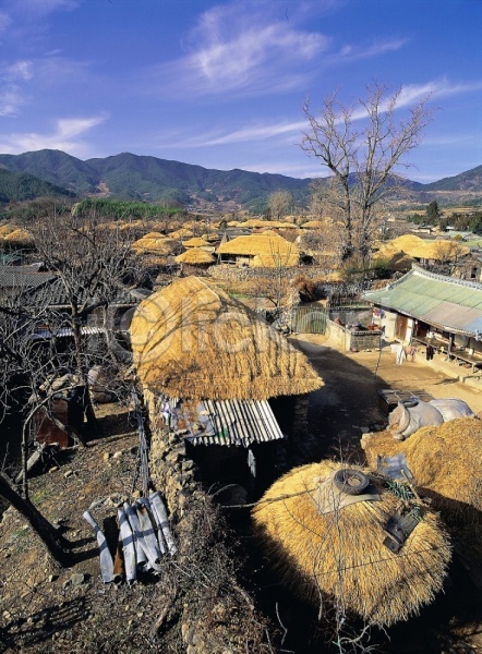 사람없음 JPG 포토 건축 고건축 농촌 동양건축 마을 시골 시설물 야외 자연 주간 초가집 풍경(경치) 한국 한국건축