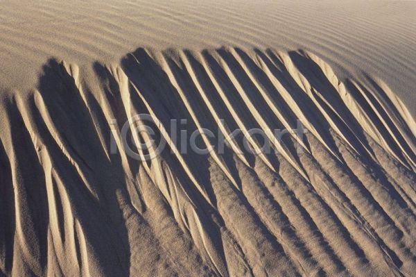 사람없음 JPG 포토 모래 사막 야외 자연 주간 풍경(경치)