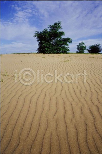 사람없음 JPG 포토 모래 사막 야외 자연 주간 풍경(경치)