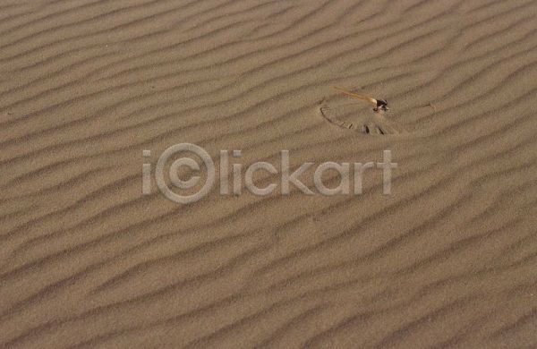 사람없음 JPG 근접촬영 포토 사막 야외 자연 주간 풍경(경치)