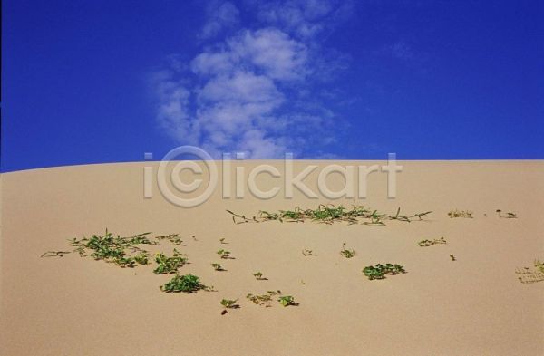 사람없음 JPG 포토 사막 야외 자연 주간 풍경(경치)