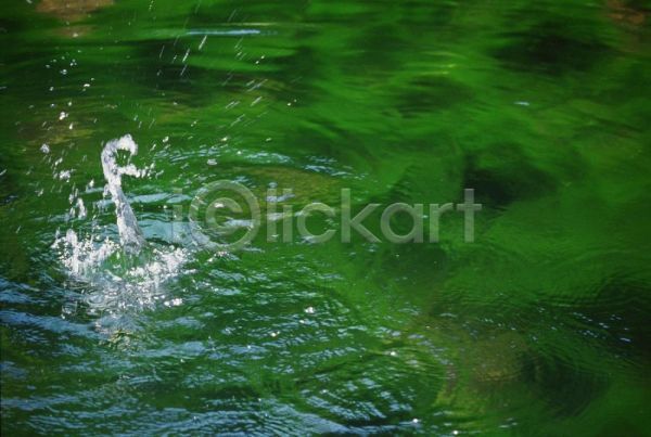 사람없음 JPG 근접촬영 포토 물 물방울 야외 자연 주간 초록색 풍경(경치)