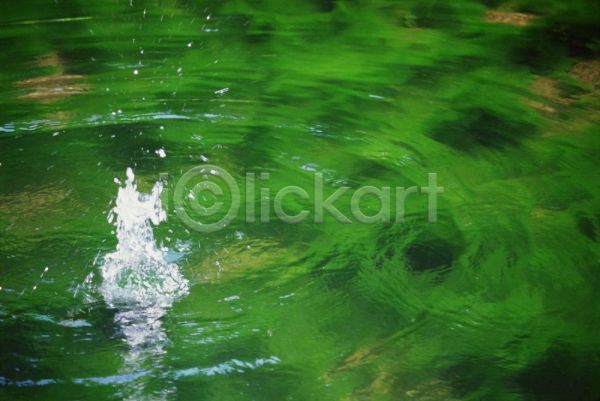 사람없음 JPG 근접촬영 포토 물 물방울 야외 자연 주간 초록색 풍경(경치)