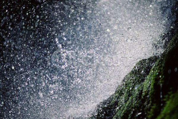 사람없음 JPG 근접촬영 포토 물 물방울 야외 자연 주간 풍경(경치)