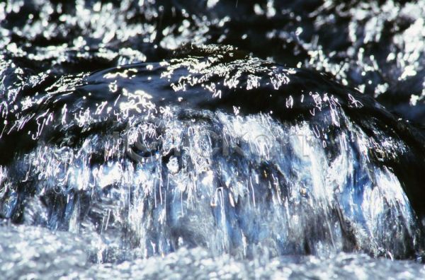 깨끗함 사람없음 JPG 근접촬영 포토 맑음 물 물방울 물줄기 야외 자연 주간 투명