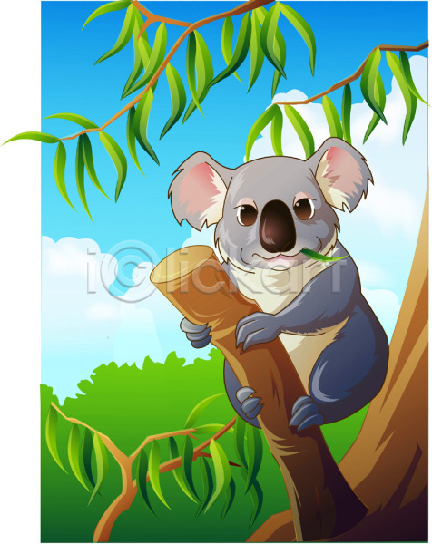 사람없음 EPS 일러스트 동물 동물원 야생동물 야외 열대우림 유칼리나무 육지동물 자연 주간 척추동물 코알라 포유류 한마리 호주