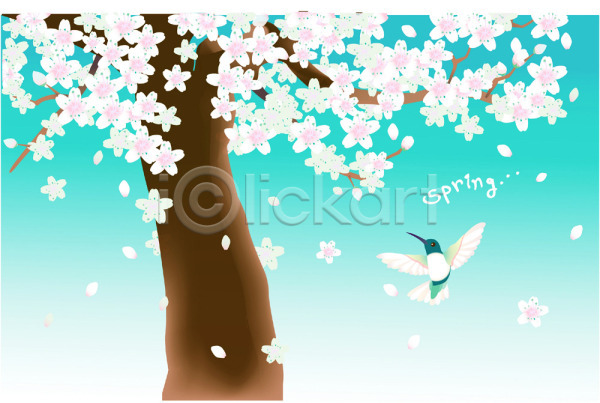 사람없음 EPS 일러스트 계절 꽃 백그라운드 벌새 벚꽃 벚나무 봄 사계절 식물 야외 자연 조류