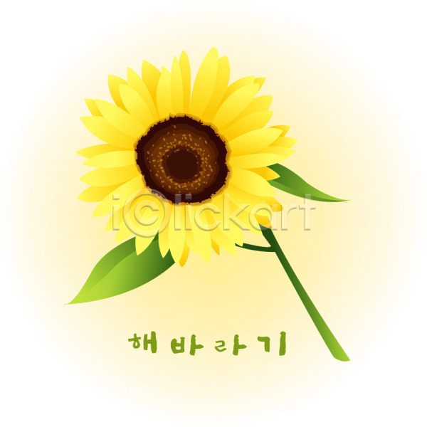 사람없음 EPS 일러스트 계절 꽃 꽃백그라운드 노란색 백그라운드 식물 여름(계절) 여름꽃 자연 컬러 클립아트 해바라기