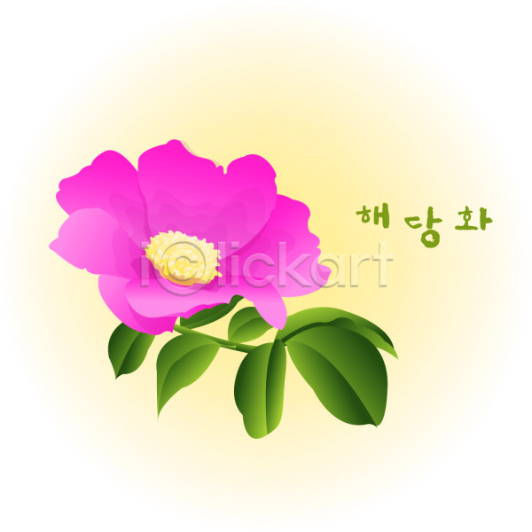 사람없음 EPS 일러스트 계절 꽃 꽃백그라운드 백그라운드 봄 봄꽃 분홍색 식물 자연 컬러 클립아트 해당화