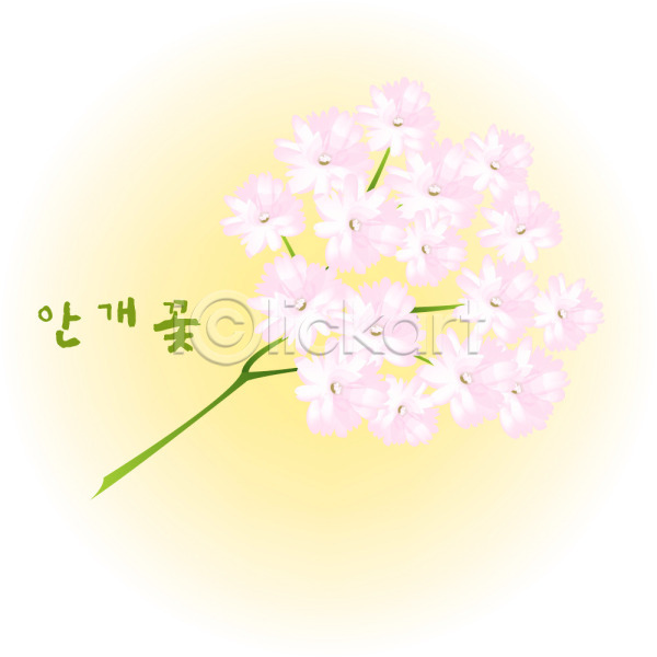 사람없음 EPS 일러스트 계절 꽃 꽃백그라운드 백그라운드 분홍색 식물 안개꽃 여름(계절) 여름꽃 자연 컬러 클립아트