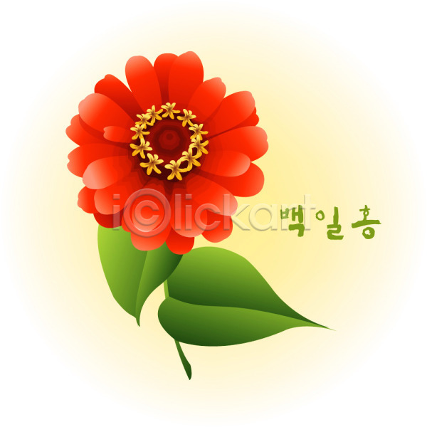 사람없음 EPS 일러스트 계절 꽃 꽃백그라운드 백그라운드 백일홍 빨간색 식물 여름(계절) 여름꽃 자연 컬러 클립아트