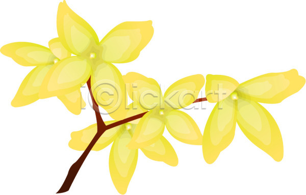 사람없음 EPS 일러스트 개나리 꽃 노란색 봄꽃 식물 자연 컬러 클립아트