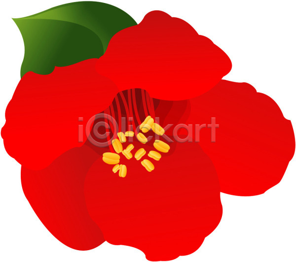 사람없음 EPS 일러스트 겨울꽃 꽃 동백 들꽃 빨간색 식물 자연 컬러 클립아트