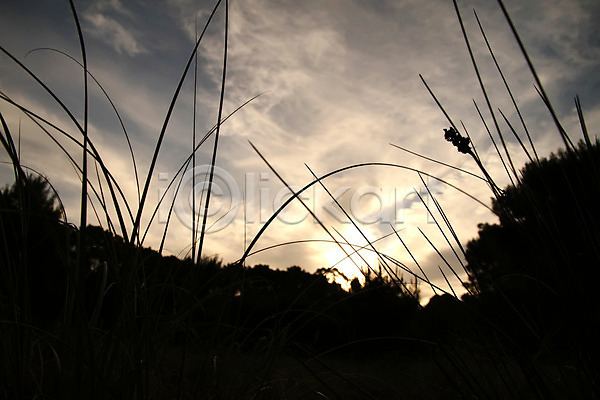 따뜻함 사람없음 JPG 포토 해외이미지 구름(자연) 남아메리카 남쪽 미국 빛 아르헨티나 아침 어둠 여름(계절) 일몰 일출 잡초 저녁 태양 하늘 해외202004 햇빛