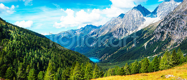 산책 침묵 휴식 사람없음 JPG 포토 해외이미지 길 나무 낭만 내추럴 목재 산 숲 야외 이탈리아 자국 자연 장면 초록색 초원 트래킹 파노라마 풍경 하이킹 해외202004 해외포토 환경 휴가