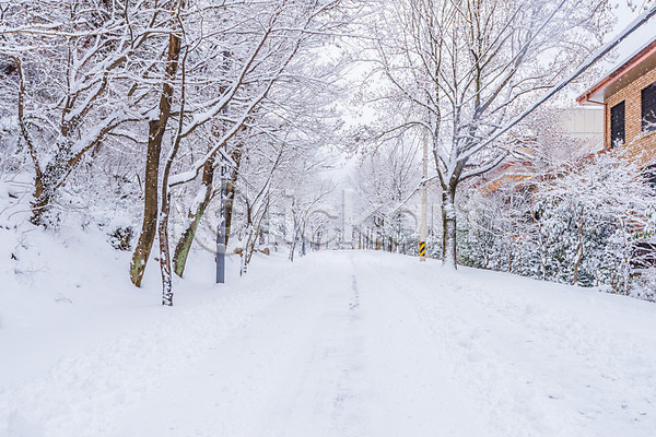 추위 사람없음 JPG 포토 해외이미지 겨울 계절 나무 눈내림 산 서울 자연 풍경(경치) 한국 해외202004 휴가
