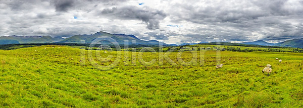 사람없음 JPG 포토 해외이미지 거실 계곡 골짜기 구름 내추럴 땅 바위 산 산등성이 산악지대 숲 스코틀랜드 시골 야외 양 언덕 여행 영국 유럽 자연 초록색 초원 파노라마 풍경 하늘 하이킹 해외202004 해외포토 황무지 회색 휴가