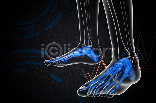 사람 사람없음 3D JPG 포토 해외이미지 건강 골격 발가락 발목 뼈 양발 해부 해외202004 회색