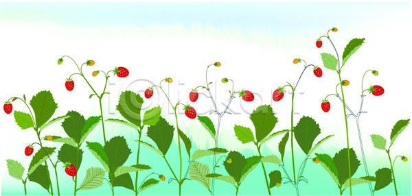 사람없음 EPS 일러스트 계절 과일 딸기 백그라운드 봄 사계절 식물 여름(계절) 열매 자연 풍경(경치)