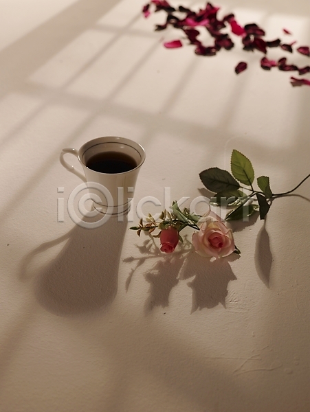 사람없음 JPG 포토 그림자 꽃 꽃잎 바닥 빛 스튜디오촬영 식물 실내 음료 음식 장미 찻잔 커피