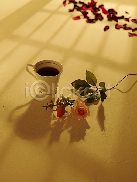 사람없음 JPG 포토 그림자 꽃 꽃잎 바닥 분홍색 빛 빨간색 스튜디오촬영 식물 실내 음료 음식 장미 찻잔 초록색 커피